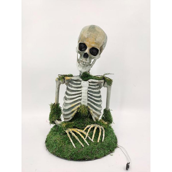 Animated Plastic Skeletons