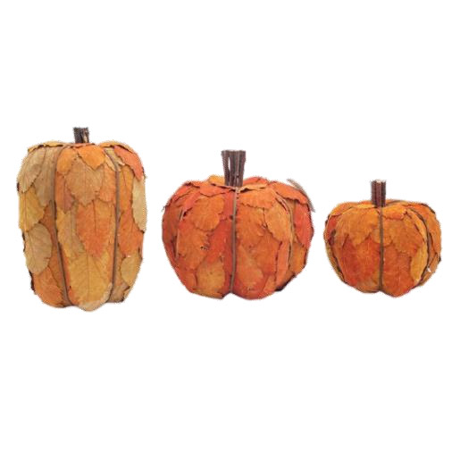  HARVEST PUMPKIN DECOR - copy - copy