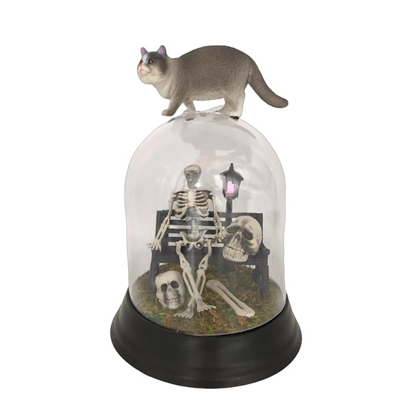 Light Up Down Cat