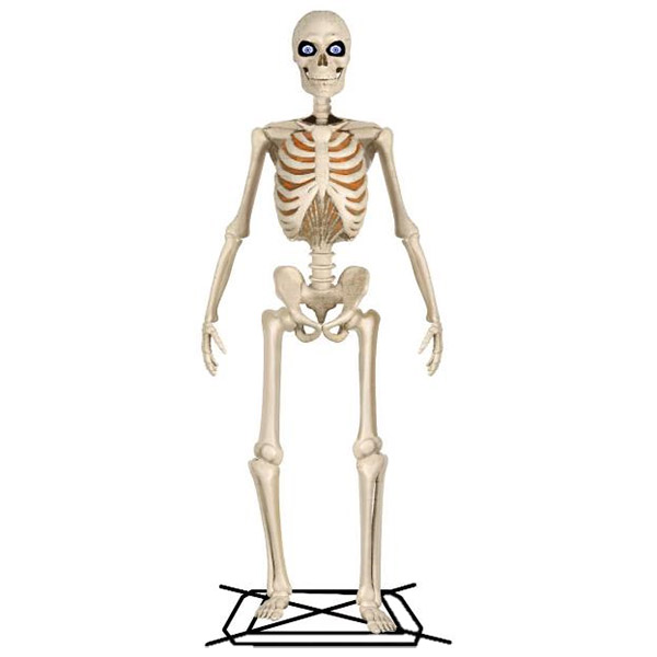 Halloween 12FT Skeleton Special features –  Animated with LCD eyes & LED chest