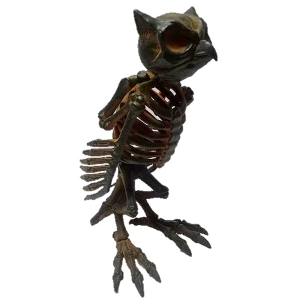 Owl Skeleton