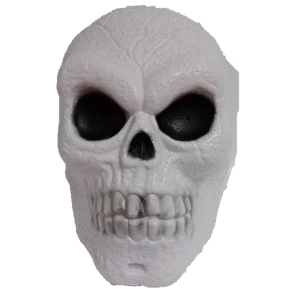 Skeleton Special features – LED